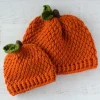 Crochet Pumpkin Hat in All Sizes